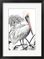 Pelican on Branch II Framed Print