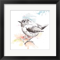 Framed Bird Sketch II