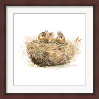 Framed Nest