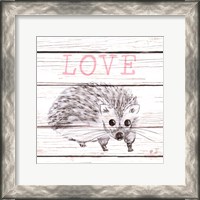 Framed Hedgehog Love