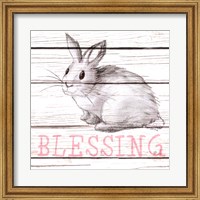 Framed Rabbit Blessing