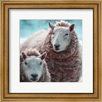 Framed Sheep Square I