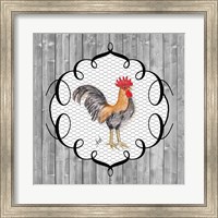 Framed Rooster on the Roost I
