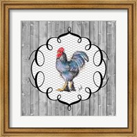 Framed Rooster on the Roost II