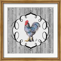 Framed Rooster on the Roost II