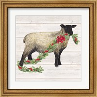 Framed 'Christmas on the Farm V Sheep' border=