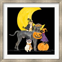 Framed Fright Night Friends II Dog with Pumpkin