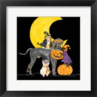 Framed 'Fright Night Friends II Dog with Pumpkin' border=