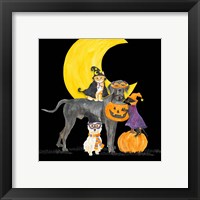 Framed 'Fright Night Friends II Dog with Pumpkin' border=