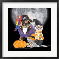 Framed Fright Night Friends III Pirate Pug