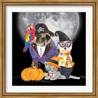 Framed Fright Night Friends III Pirate Pug
