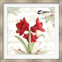 Framed Merry Amaryllis I