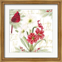 Framed Merry Amaryllis II