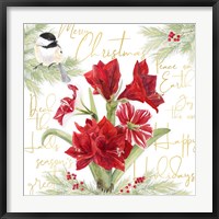 Framed Merry Amaryllis IV