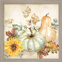 Framed 'Watercolor Harvest Pumpkin II' border=