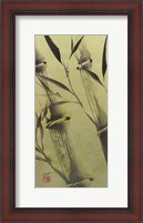 Framed Bamboo's Peace