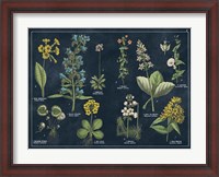 Framed Botanical Floral Chart I Dark Blue