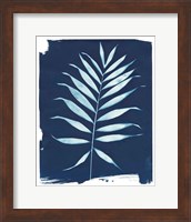 Framed Nature By The Lake - Frond I