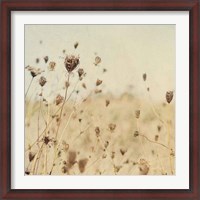 Framed Falling Queen Annes Lace II Crop Sepia