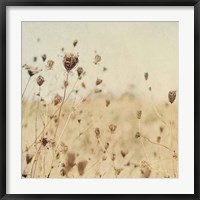 Framed Falling Queen Annes Lace II Crop Sepia