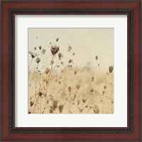 Framed Falling Queen Annes Lace II Crop Sepia