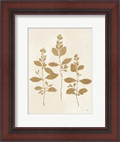 Framed Botanical Study IV Gold Crop