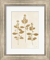 Framed Botanical Study IV Gold Crop