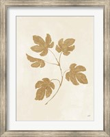 Framed Botanical Study III Gold Crop