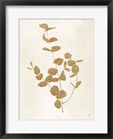 Framed Botanical Study II Gold Crop