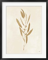 Botanical Study I Gold Crop Framed Print