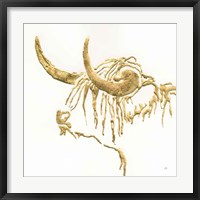 Gilded Highlander III Framed Print