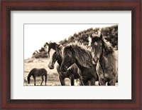 Framed Horses Three Sepia