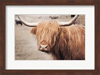 Framed Scottish Highland Cattle I Neutral