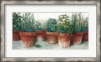 Framed Pots of Herbs II White