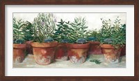 Framed Pots of Herbs I White