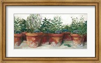 Framed Pots of Herbs I White