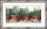 Framed Pots of Herbs I White