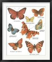 Framed 'Botanical Butterflies Postcard IV White' border=