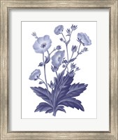 Framed Dark Blue Botanical VI