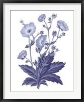 Framed Dark Blue Botanical VI