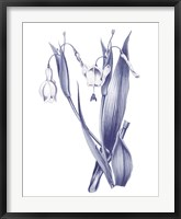 Dark Blue Botanical II Framed Print