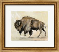 Framed Bronze Buffalo