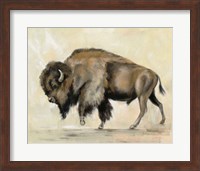 Framed Bronze Buffalo