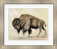 Framed Bronze Buffalo