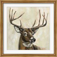 Framed Bronze Deer