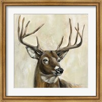 Framed Bronze Deer