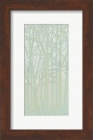 Framed Spring Trees II
