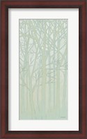 Framed Spring Trees II