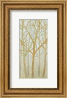 Framed Spring Trees I