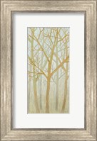 Framed Spring Trees I